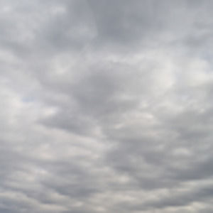 Meet your Posher, Karli